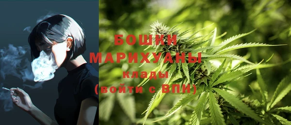 ешки Гатчина