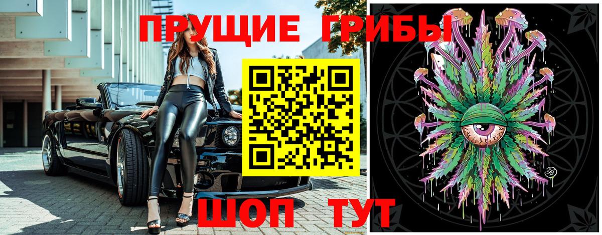 APVP Славгород