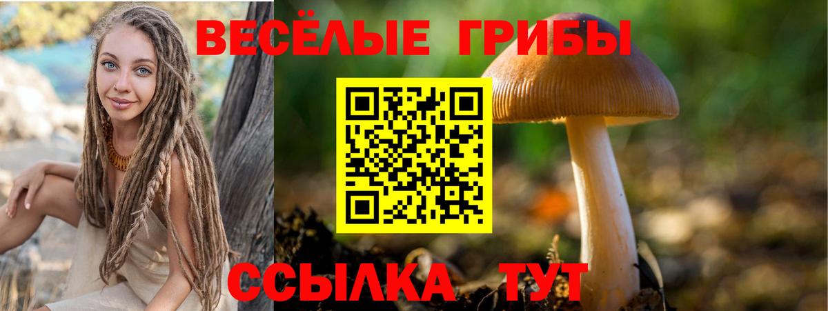 Псилоцибиновые грибы Magic Shrooms Славгород