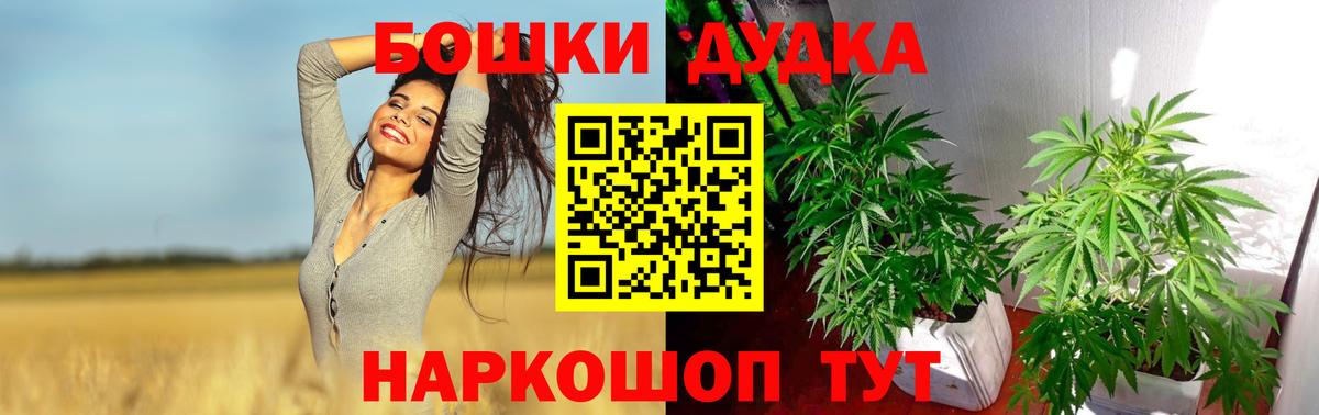 Шишки марихуана Amnesia Славгород